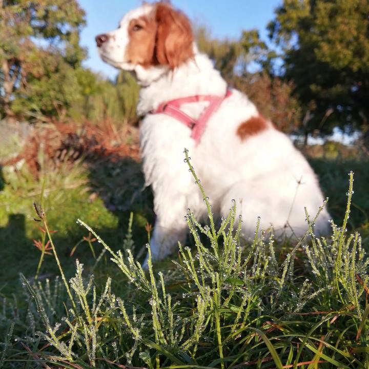 Da1faec0 d424 4ad9 9645 1564a13209b4 1604664625463