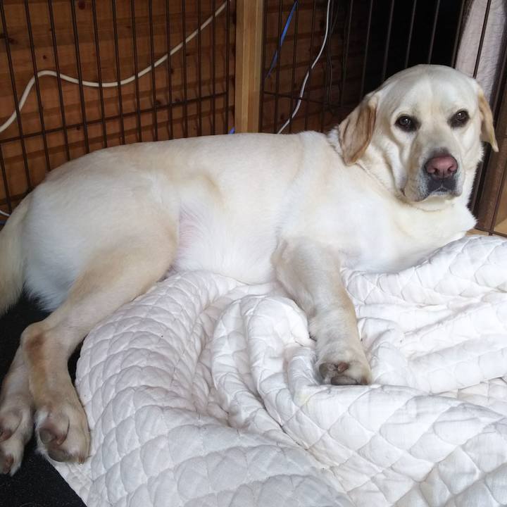 Da1fe4fc 528b 4487 8161 805580aa3b39 1562127092937