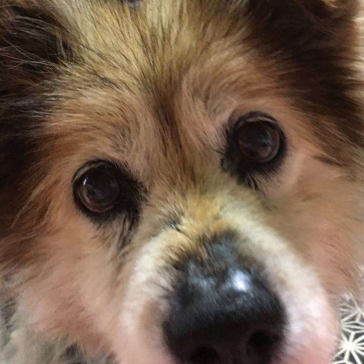 Da2018d1 29f2 4164 99bd fba1fcbc245c 1612842388827