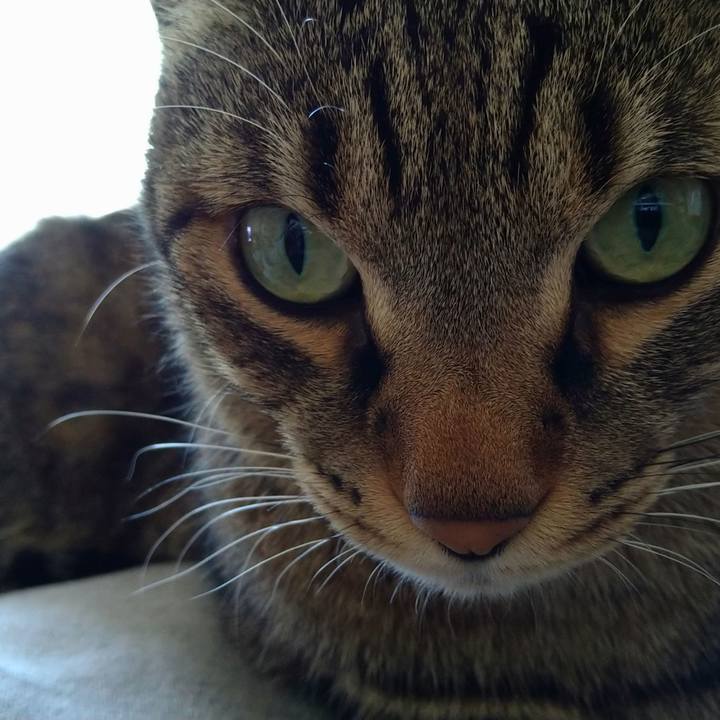 Da202372 517a 473d a84f 73907e3081e6 1637971807278