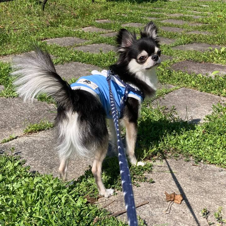 Da20505f 3b74 401d bcdb 4ef09b74d1d8 1651559249319