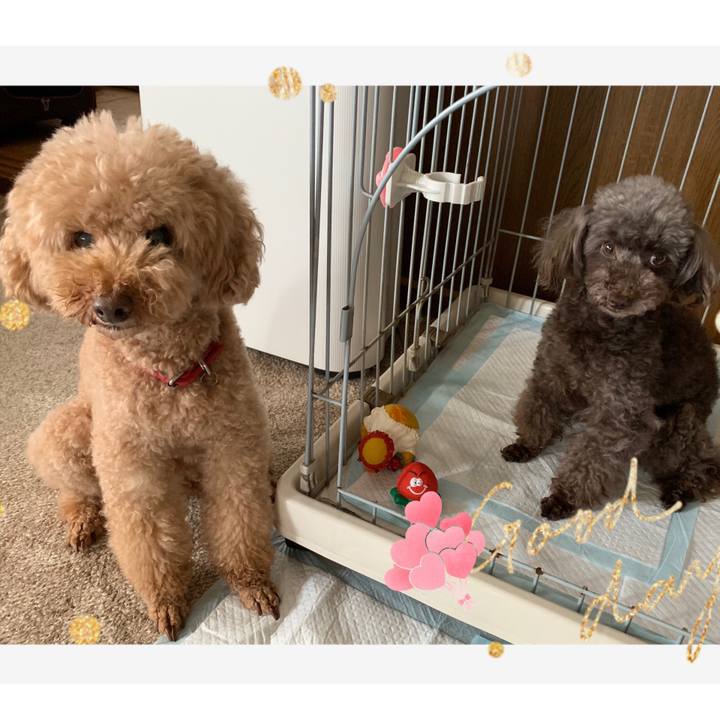 Da205f81 95dd 4d70 91c3 d57f8b504d21 1564011078052