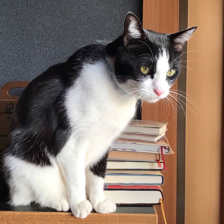 Da2065ae ea34 406e a494 66d902b4ebff 1737539451292