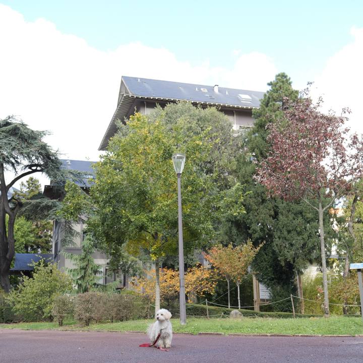 Da20995e 4524 469f bb8f 79ae996d7220 1761623971204