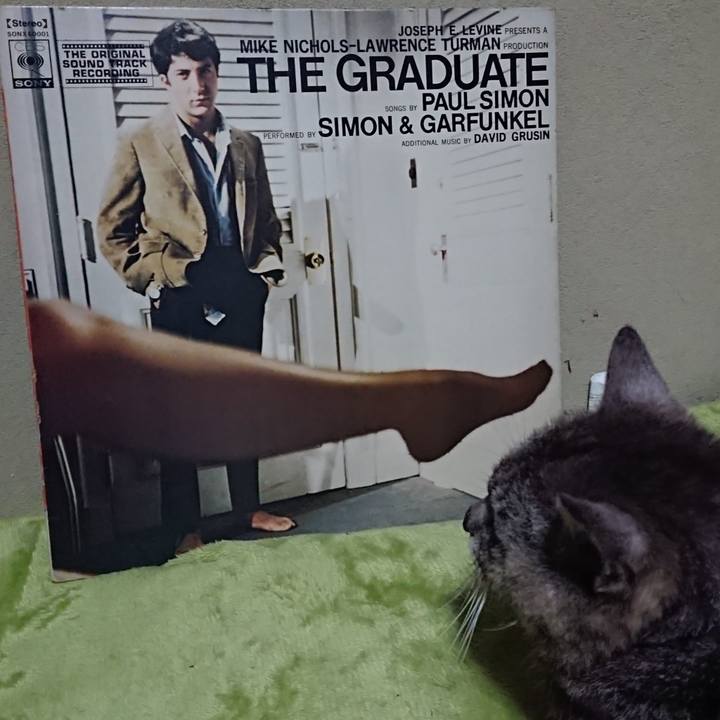 Da209b96 72d8 4598 a7f4 7256e97447f7 1597406236260