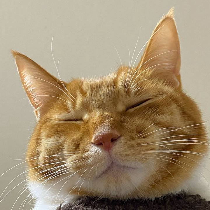 Da20b571 155c 4118 aecf 98f65a51fff6 1616213617601