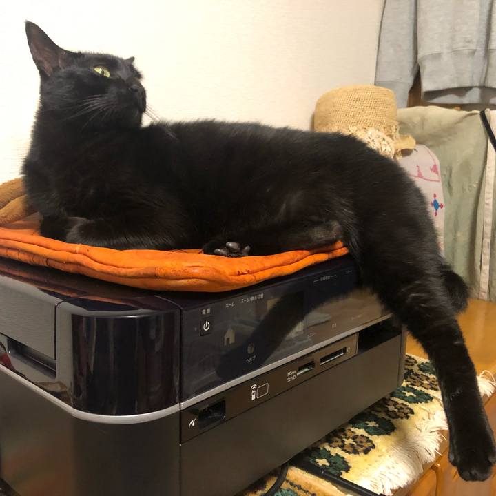 Da20cae5 9c63 4595 a28f d8fb99821a63 1556544461525