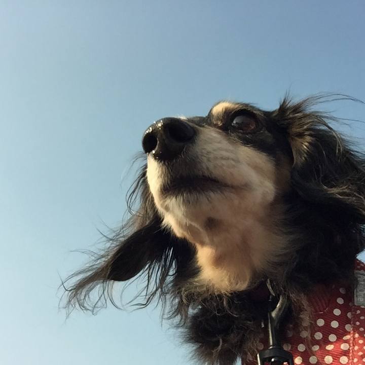 Da20ce0a 2798 4293 b788 f8648393c86d 1576109696588