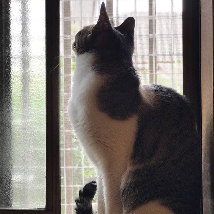 Da20d893 36cb 44f9 b4b8 68c97ca79249 1530148032760