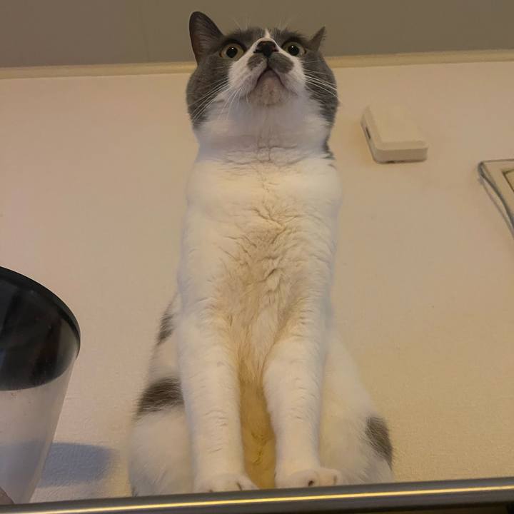 Da20db9d 9cb2 4a8a a3d5 39bd325059dd 1741910121387