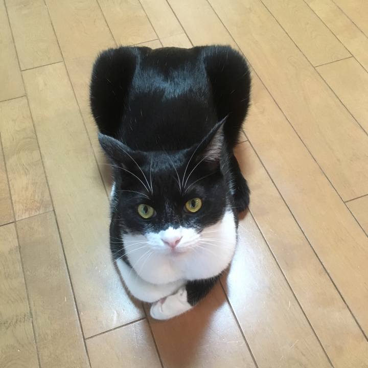 Da211c0d 7afd 41f8 93e1 fb1fbd3d4c0d 1545444758817