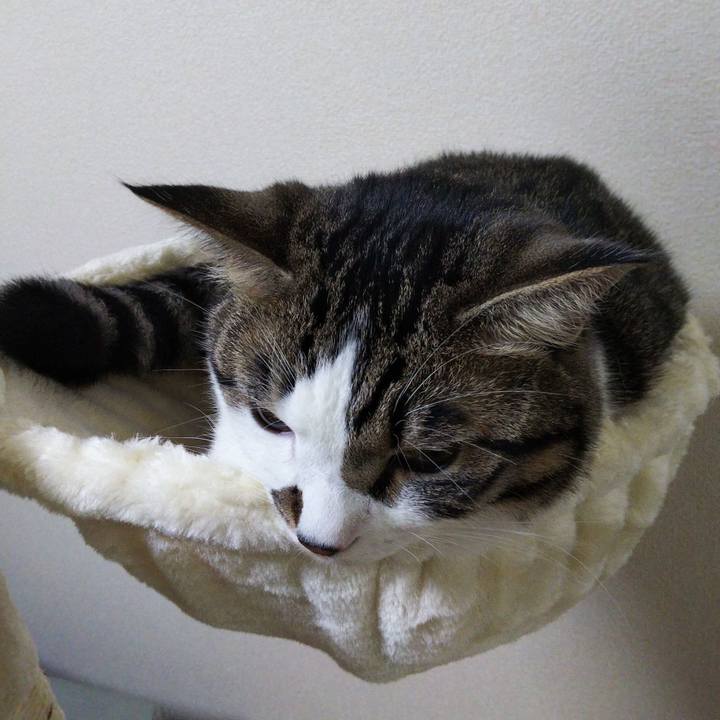 Da213050 24fe 4484 9417 85e30435027f 1630757490790