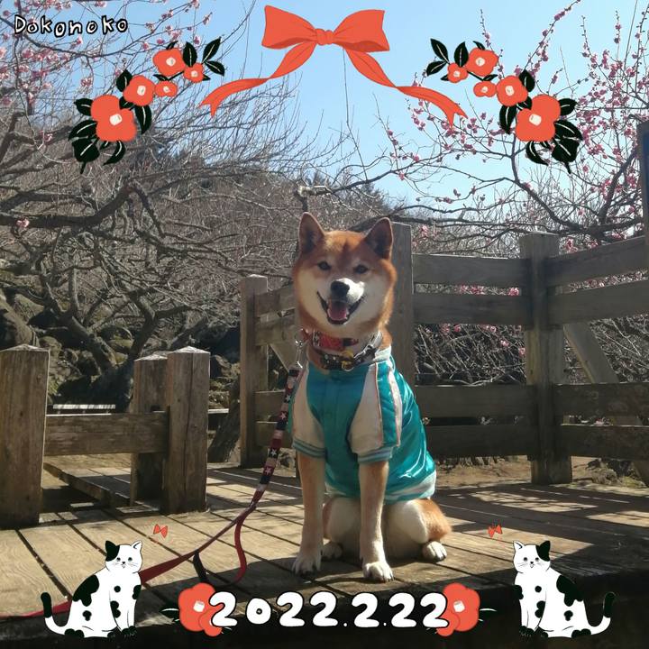 Da2144a1 9e3d 4d31 a0d3 77525f3adf1a 1645528221251