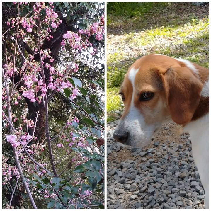 Da214934 152f 4ef1 9fd7 a303fb7849fb 1584966425669