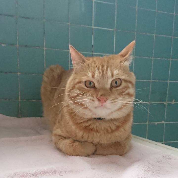 Da2153a7 ea55 47e3 8079 82169b54469f 1652345089215