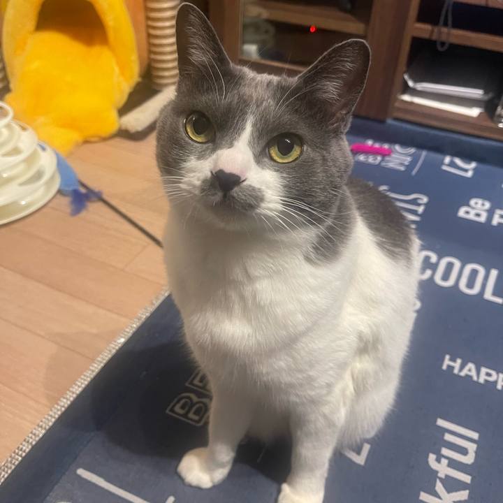 Da218ccc add8 4f36 9569 24d6c4fa198c 1705417447599