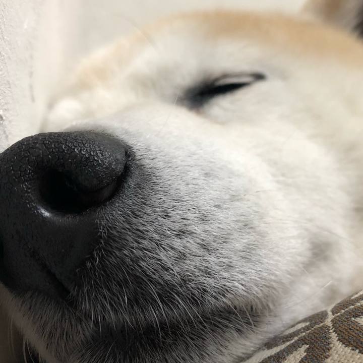 Da21a1b0 b661 4539 991f 1bf1a03f0b1b 1555300082639