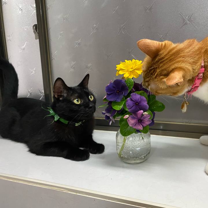 Da223766 84ac 461e 96b6 f436c8baebed 1658663092848