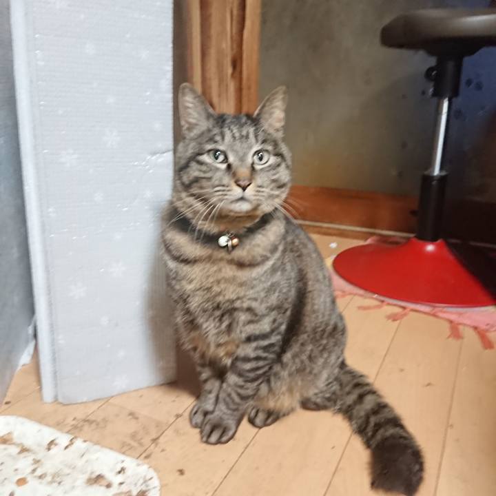 Da224457 0a57 47da ba2d 696b7521ef19 1648932837298