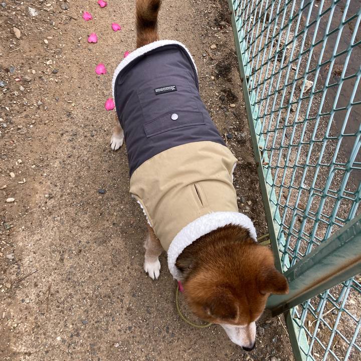 Da225426 3d99 4c63 b5e2 a9b446ee9093 1705725189108