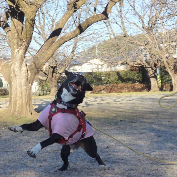 Da225872 c2ce 4105 bfa7 853b132bb888 1675038727647