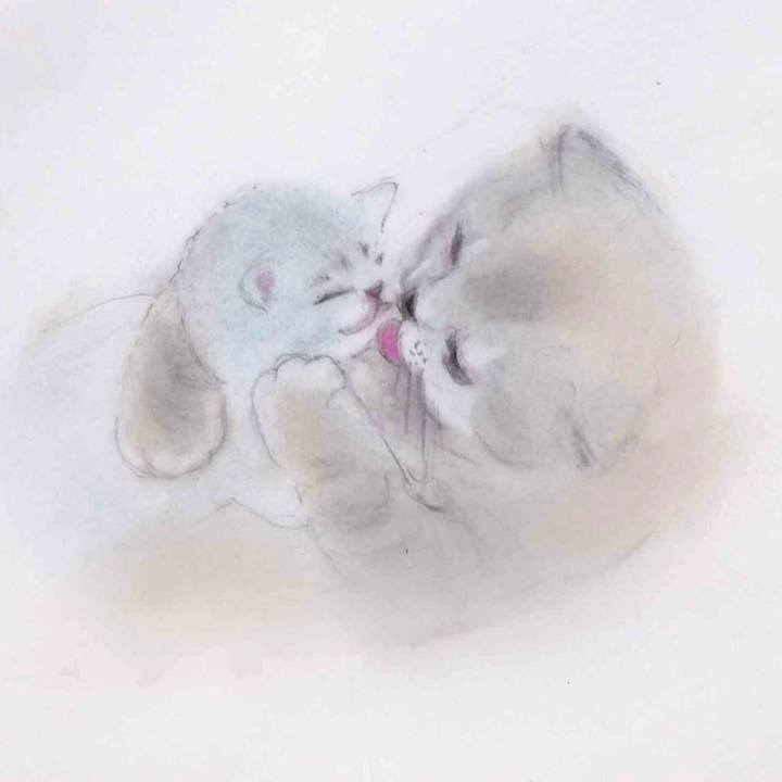 Da2289cc dfe6 4090 8e1f a666c1dd10fb 1640358776744