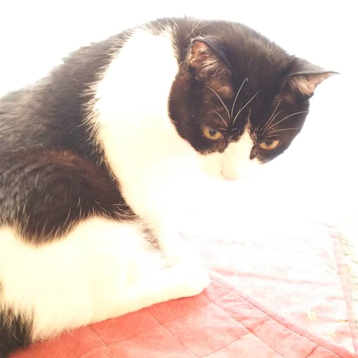 Da229dd1 8dfb 46c2 b7fd 81216473cf5f 1557265836370