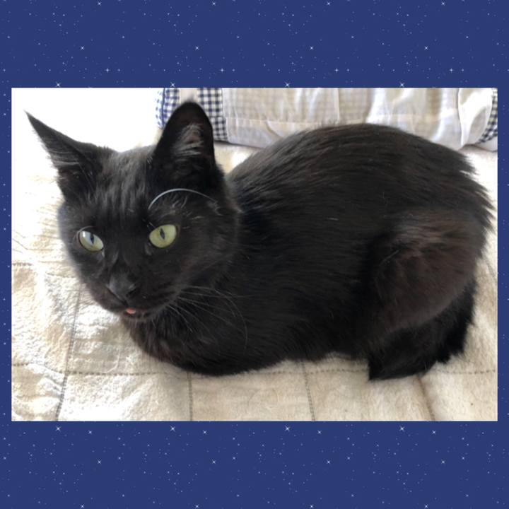 Da229ffa 1154 42d1 9fb6 67bc00b311cc 1597113652356