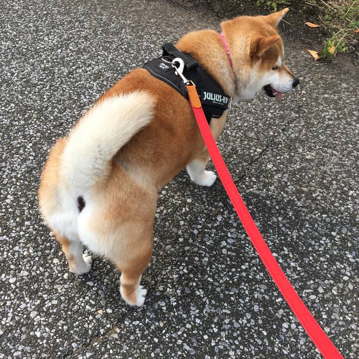 Da22c014 3169 4c4d 9551 d51a84611228 1591399604050