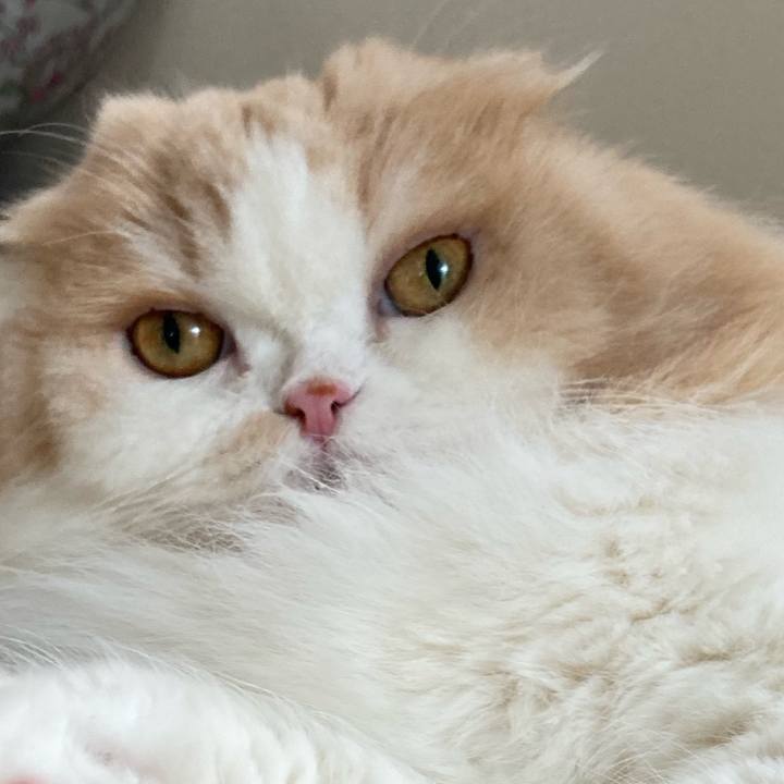 Da22e732 ec7b 4e67 a7ba 8f4b5fb81061 1682141704676