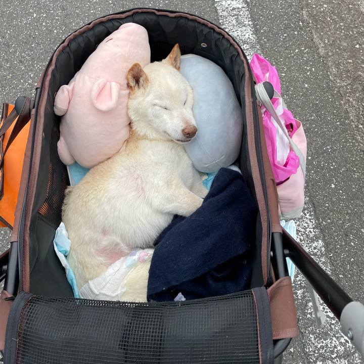 Da22f059 4de2 41cb 98c8 32f415481fc6 1679915378028