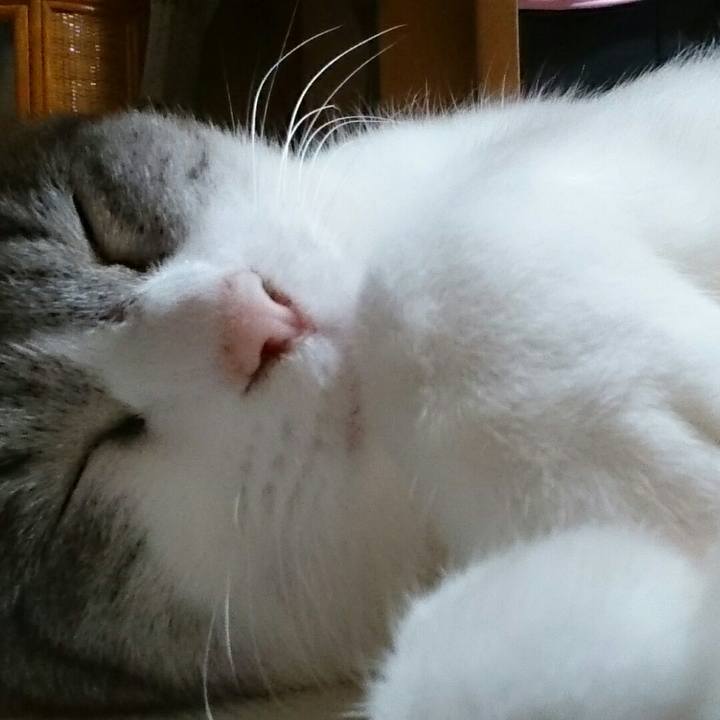 Da230527 6e37 4052 b7d3 7e66967e983a 1510925089103