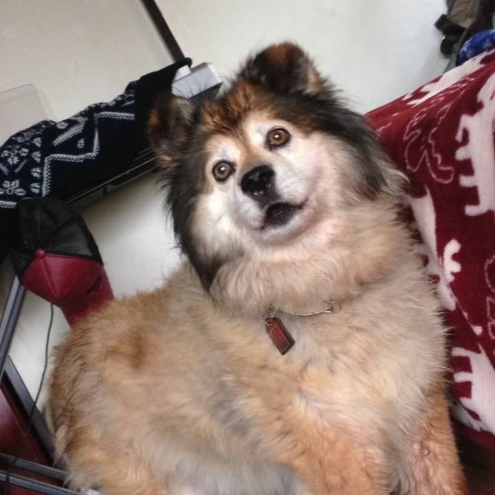 Da2307bd 4035 445a 884d 17d8403eec9d 1608170847556