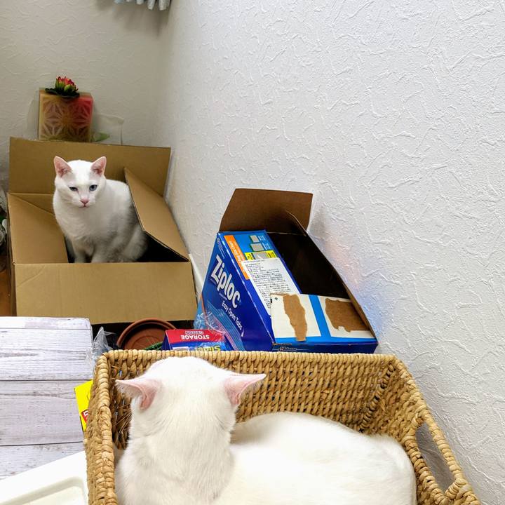 Da2308c5 ccaf 497f a12c 92752286646b 1563778646711