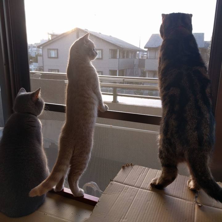 Da23167b 870c 4056 9181 81b8b2ac13aa 1513940599481