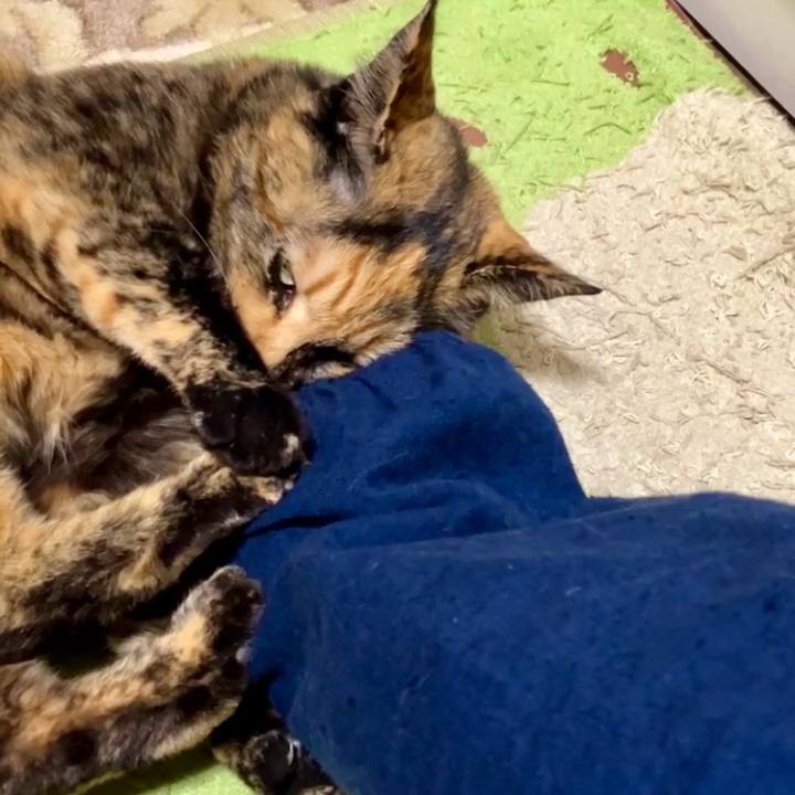 Da236b72 be2c 4010 80ee 0cf742fd93b7 1732097381096