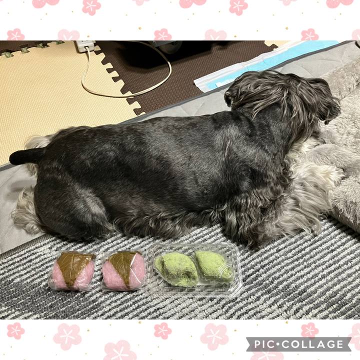 Da23719e 765b 4111 bee8 2721a4cca6c6 1772633115116