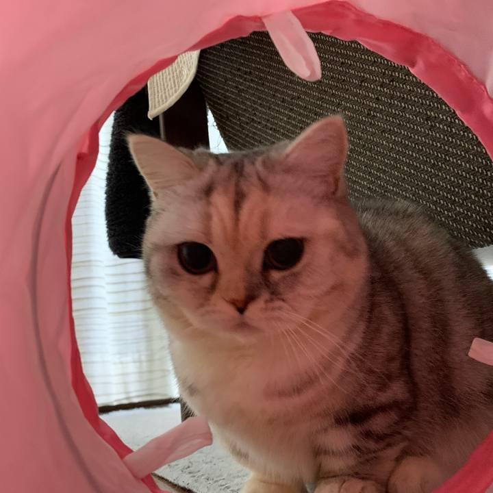 Da2380c3 d398 4e35 b281 fede9696c14e 1707048210662