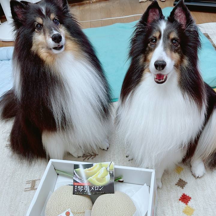 Da239687 75fa 456b 9b03 b77c0ad5ce9b 1657649649443