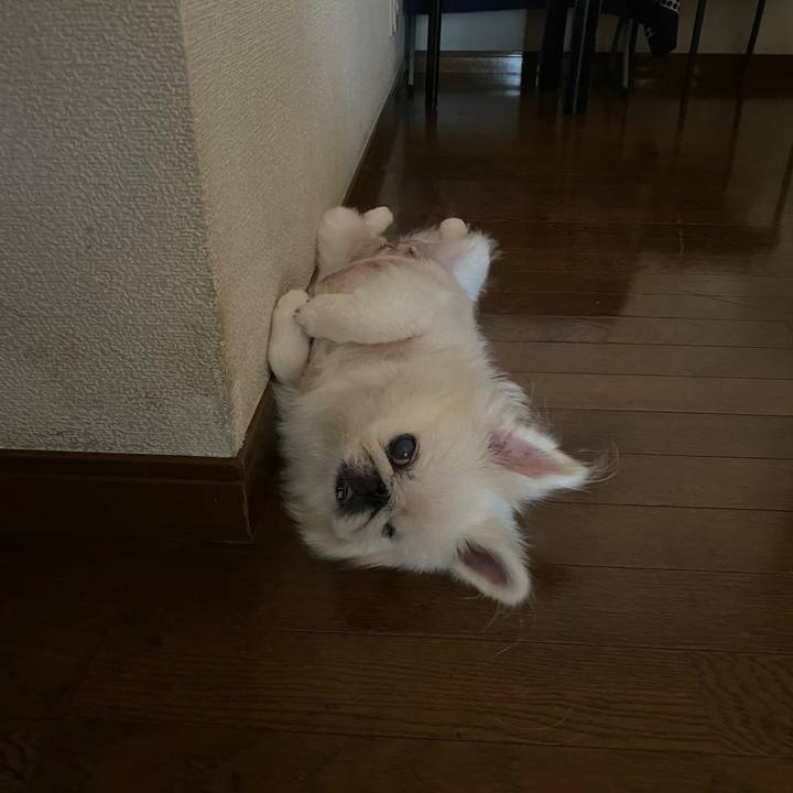 Da23a79a 0bf6 40ea acd8 fee2273e62c7 1722917899211