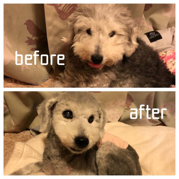 Da23b955 ca0f 4778 adc5 35b569e347cd 1666704175960