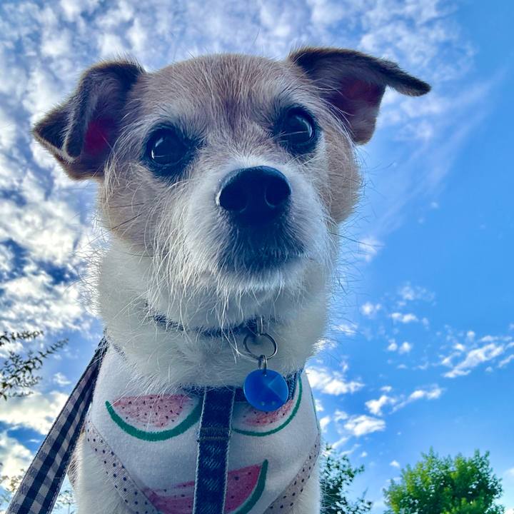 Da23cf52 f0be 4d0b bdd1 f9599399eba7 1722030614703