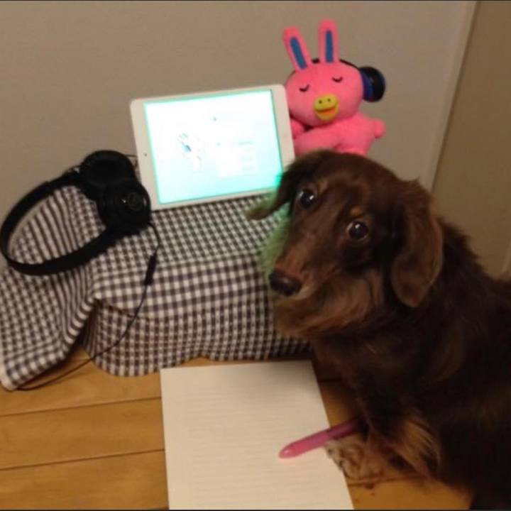 Da23d7b0 a7b0 4675 b072 47d49d08a935 1633563742094