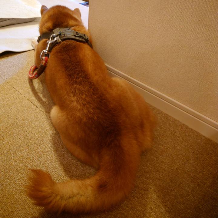 Da23ee2a e012 4601 9bcd 2399a7d9c23f 1765778979410