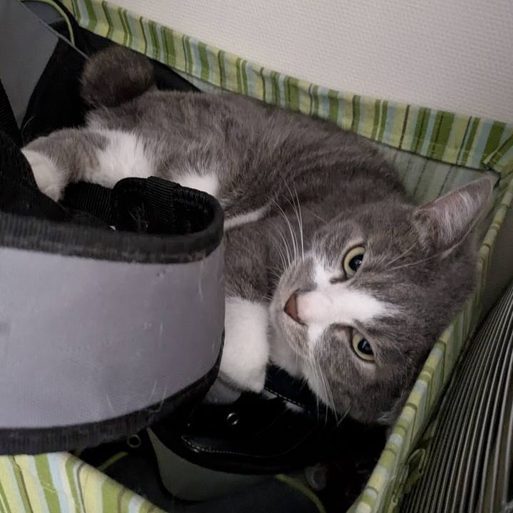 Da23f04d eb6e 4963 951d 7dd4773b45e6 1749958900492