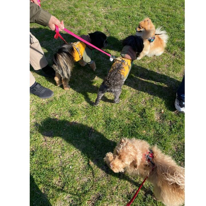 Da23fa3f ad13 4d19 9214 8b5cf1ee18be 1683021721090