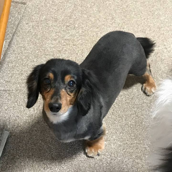 Da23fc03 2c48 407e bc38 42ebf9d812ad 1517177342378