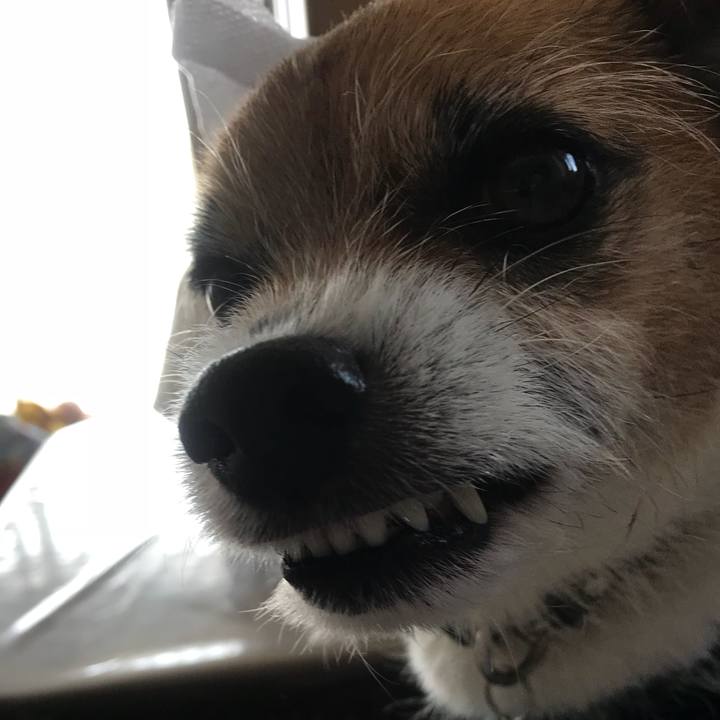 Da2438f0 130a 4a45 b08b 7b6caa5c8d60 1521421492659