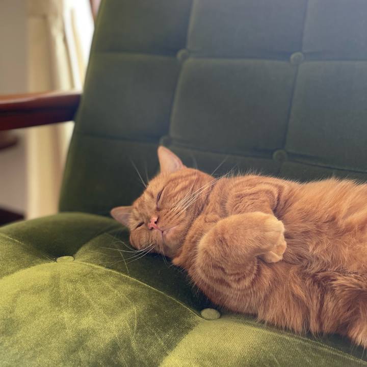 Da2444c7 d245 49c7 99b1 6a52cb9b4a77 1635154036488