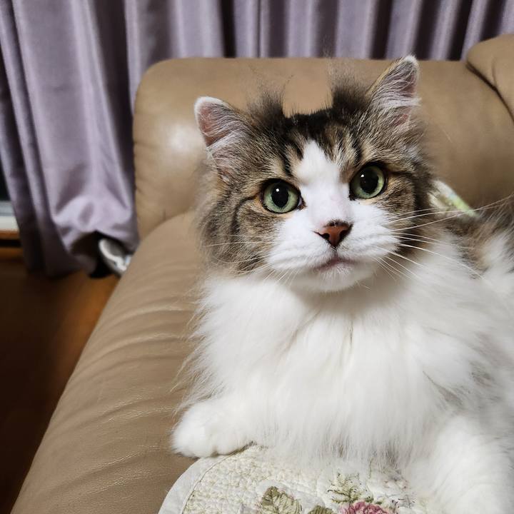 Da244a27 f868 417f abeb f79512c0ed54 1749776638887